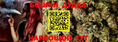 jwh Новозыбков
