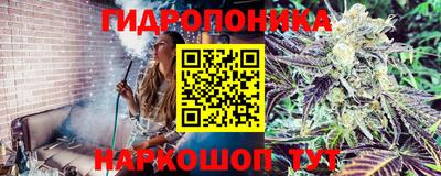 jwh Новозыбков