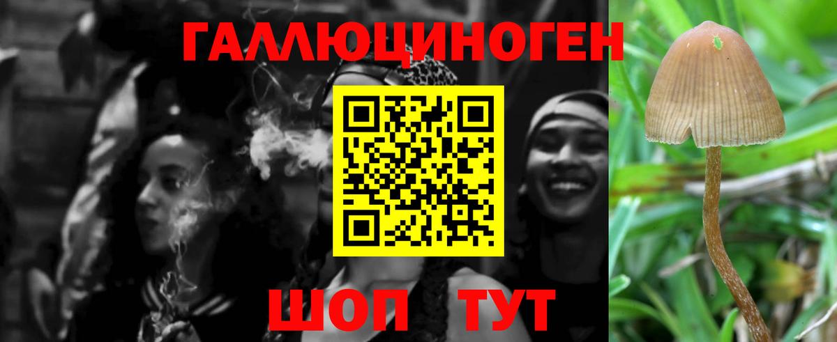 Галлюциногенные грибы мицелий  Вход с VPN  Топки 